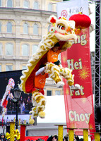 Chinese New Year Celebrations 2014