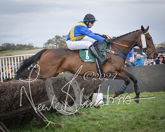 Race 3 - 5 years old and Over Maiden Race (71 of 130)