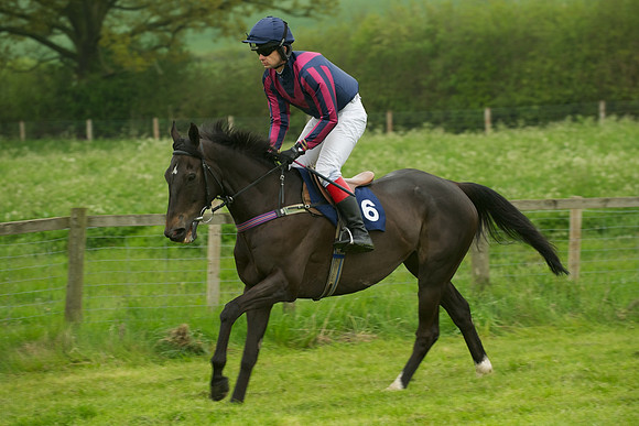 Race 2 - Novices 9