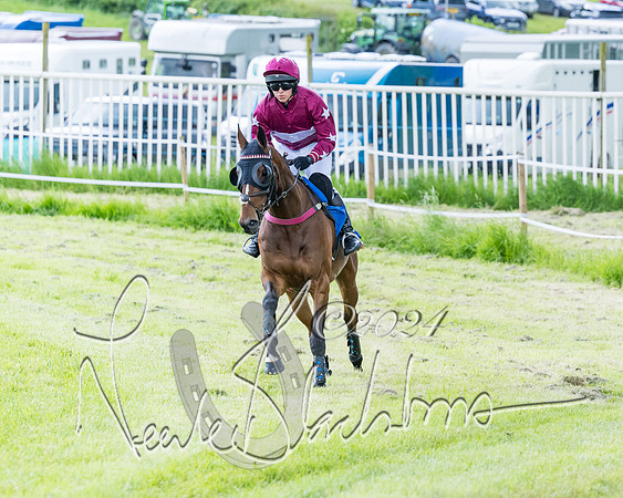 Race 3 - Conditions (120 of 367)