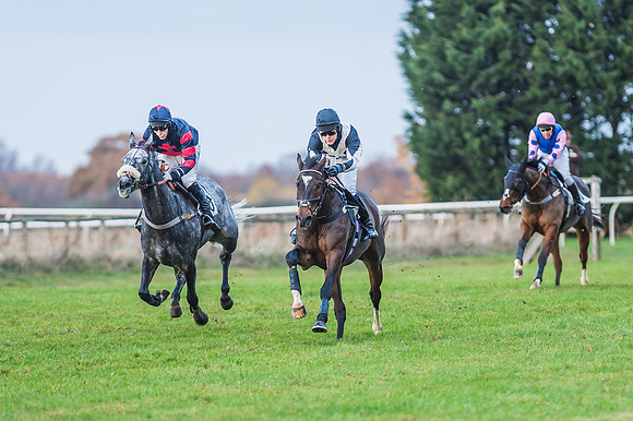 2 Mile 4 Furlong Maiden Race -28