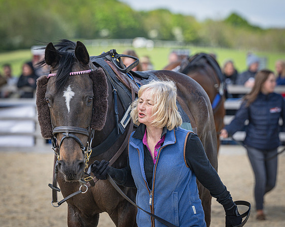 Race 2 - Winkworth conditions race 2m 4f (4 of 126)