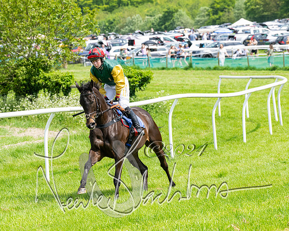 RAce 1 - Conditionsn [Level 2] (62 of 219)