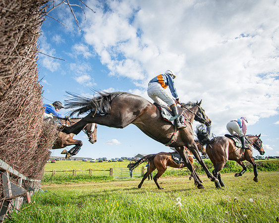 Race 7 - Walnut Hill PPORA club members maiden (23 of 104)