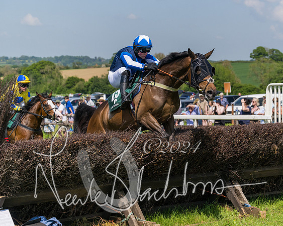 Race 2 - The Maiden  (233 of 442)