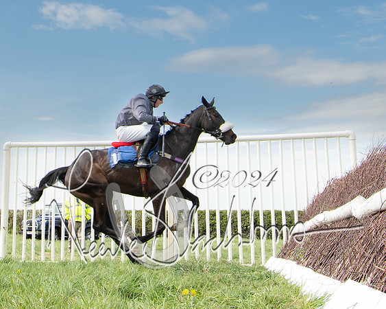 Race 2 - The Elliott of London maiden race (109 of 137)