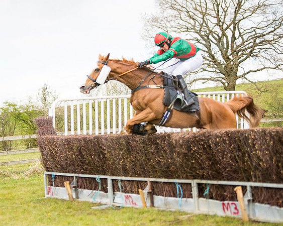 Race 3 - Owner Trainer conditions (90 of 132)