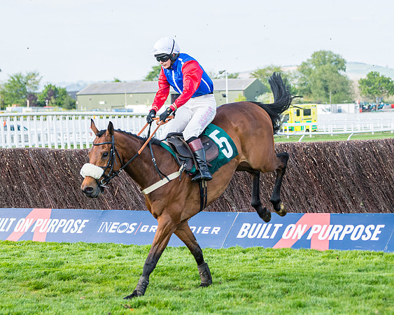 Race 1 - The open Hunter chase  (65 of 95)