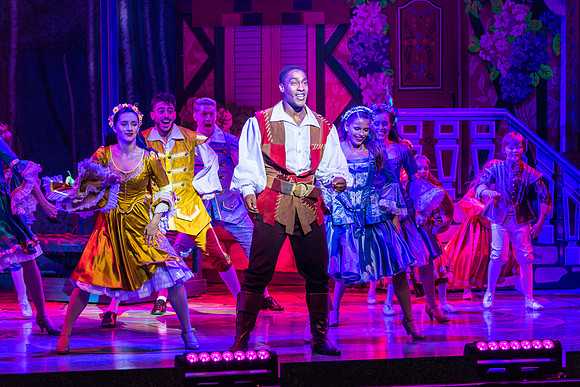 Swan Panto 2017