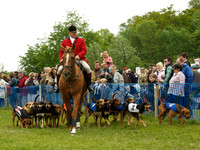 Hound Race -  2