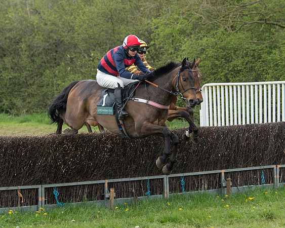Race 2 - Jockey Club ROR veteran Horse (29 of 104)