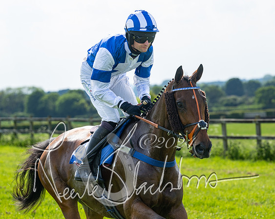 Race 5  - Maiden race 2m5F Div-1 (95 of 197)