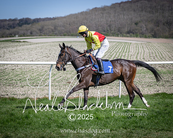 Race 2 - The Maiden (28 of 118)