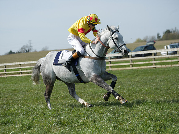 Pony Race 3 -  46