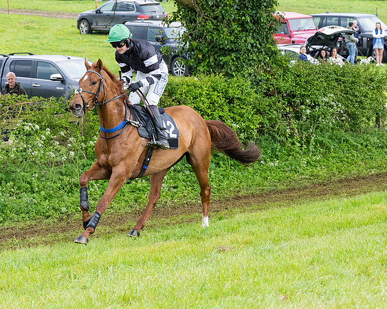 Race 7 -  Maiden Conditions (13 of 135)