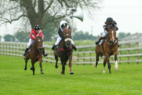 Ponies - 1