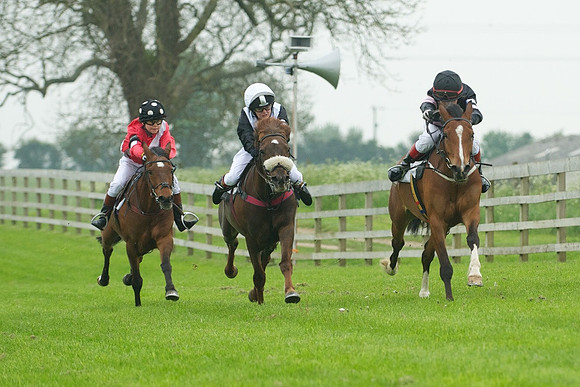 Ponies - 1
