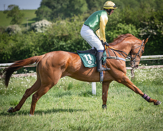 Race 5 - Restricted (37 of 116)