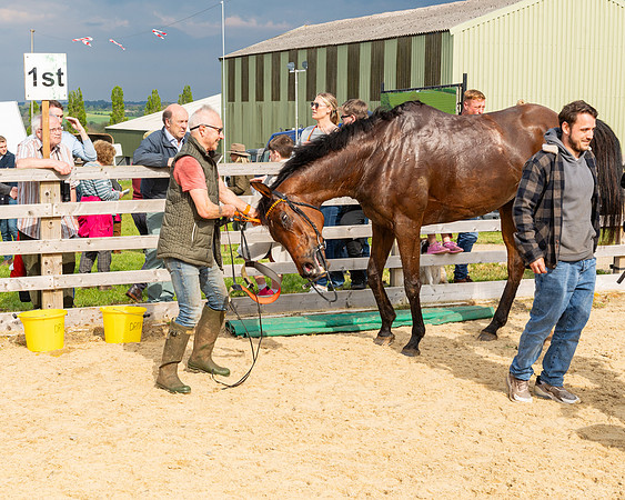 Race 5  - Novice riders (175 of 188)