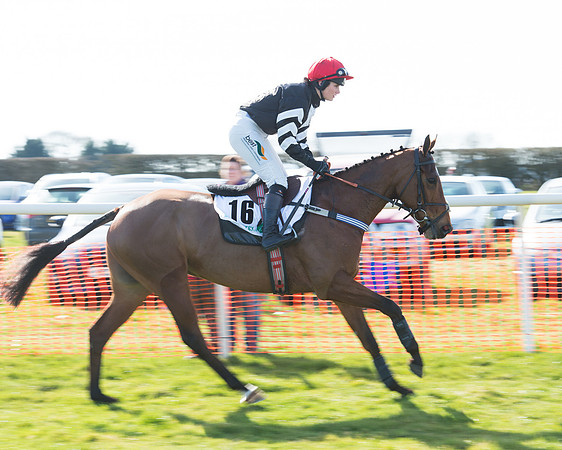 Race 2 - Open Maiden Div 2 (39 of 124).jpg