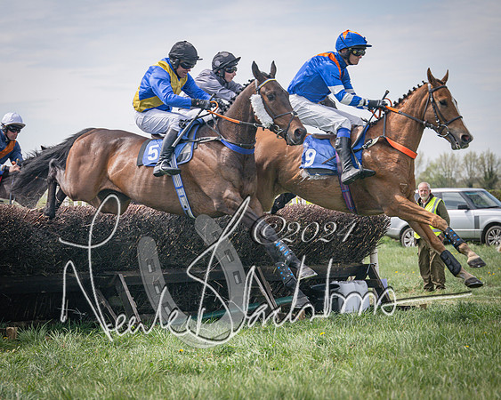 Race 2 - The Elliott of London maiden race (41 of 137)