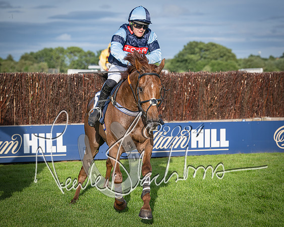 Race 3 - The pointtopoint.co.uk champion novices’ Hunter Chase (123 of 140)