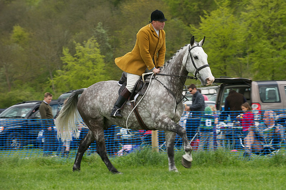 Race 4 -  2