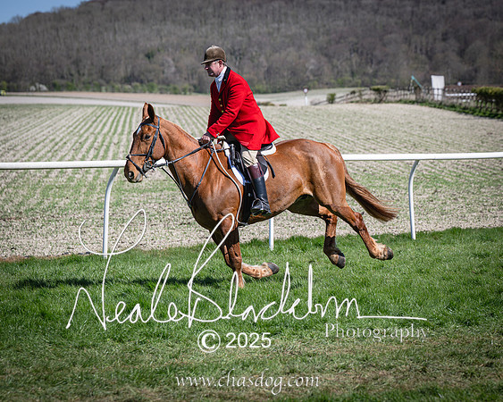 Race 2 - The Maiden (27 of 118)