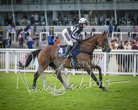 Race 2 - Olly Murphy Racing Stratford Ladies Open (35 of 111)