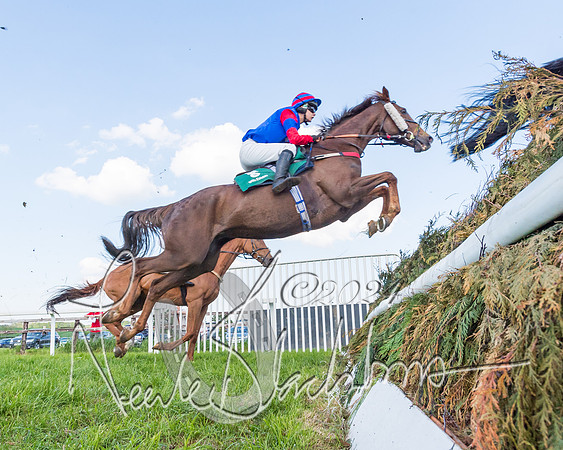 Race 7 - Veteran Horse (22 of 246)
