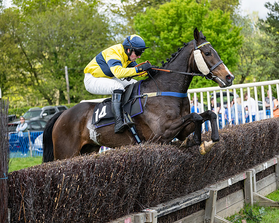 Race 5  - Maiden  (72 of 84)