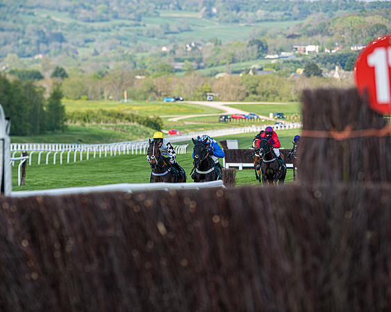 Race 1 - The open Hunter chase  (47 of 95)