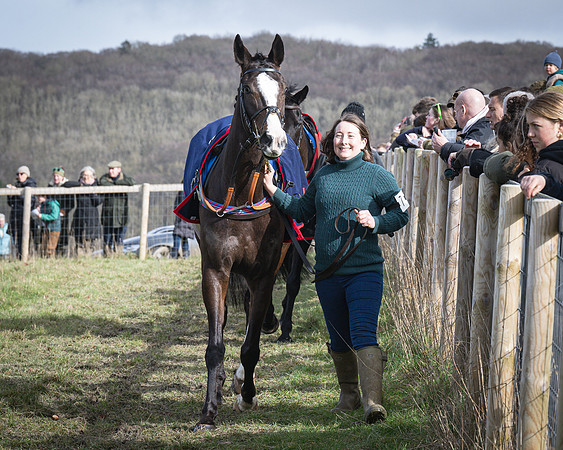 Race 3 - The Maiden Conditions (8 of 214)