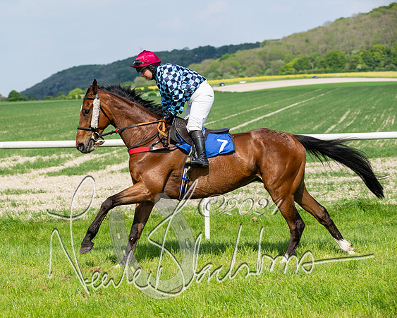 Race 3 - Ladies Open  (46 of 133)