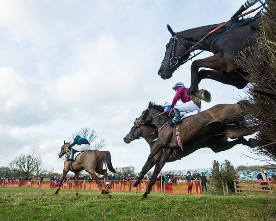 Race 5 - PPORA Conditions 2 - 8 and over  (56 of 156)