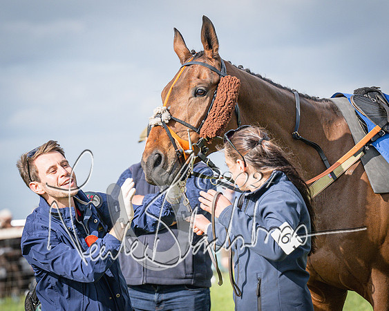 Race 6 - Thorn Plant Hire Maiden Race (15 of 129)