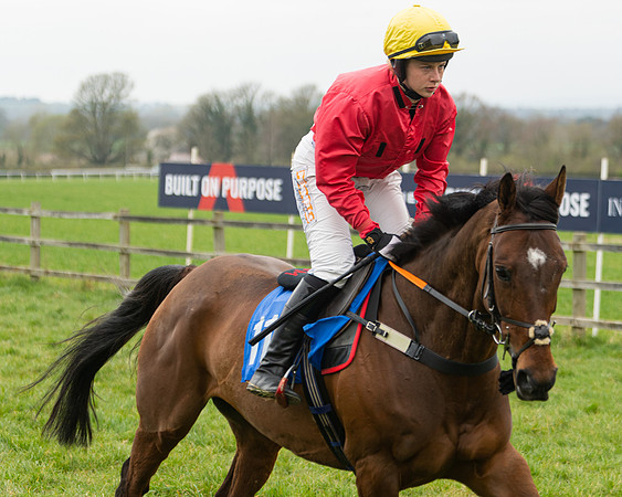 Race 3 - Open maiden  (7 of 273)