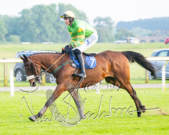Race 5 - Peter Wright Handicap (12 of 117)