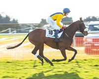 Race 5 - TBA members Mares and Fillies race (5 of 101).jpg