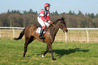 Races 5 - Restricted 10