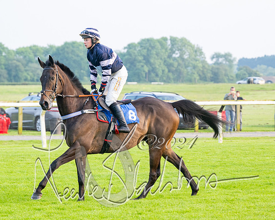 Race 5 - Peter Wright Handicap (4 of 117)