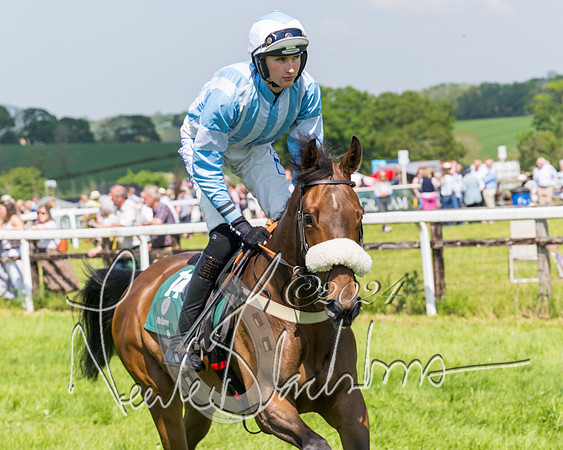 Race 2 - The Maiden  (85 of 442)