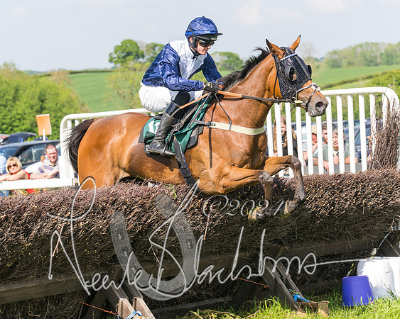 Race 4 - PPORA Novice Riders Final  (243 of 362)