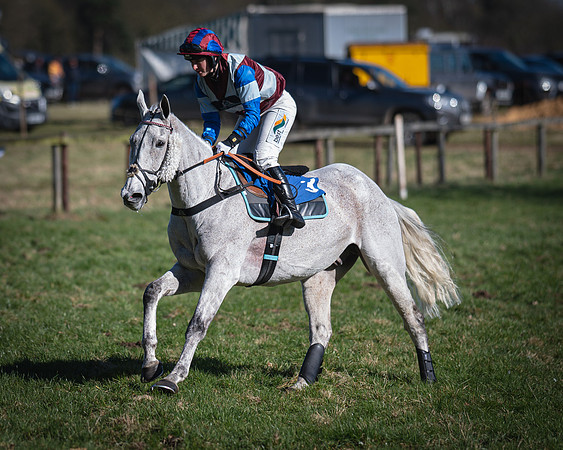 Race 1 - Veteran Horse (11 of 62)