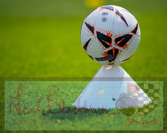 Chesham United 2 v Torquay Utd 3 (3 of 445)