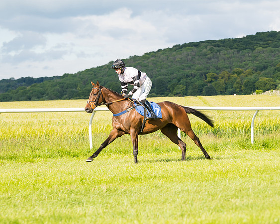 Race 6 - Open Maiden (46 of 227)