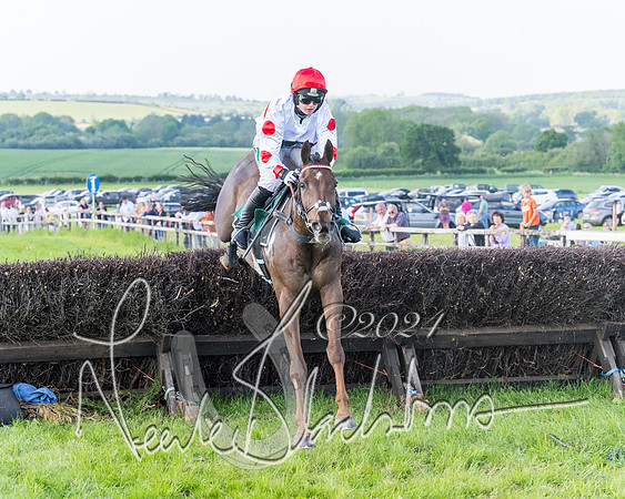Race 7 - Veteran Horse (52 of 246)