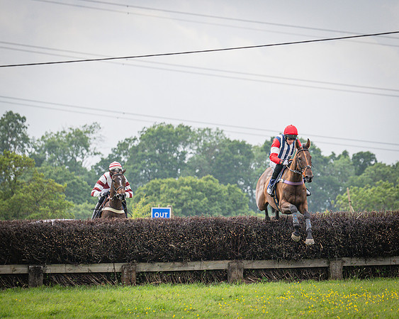 Race 6 - 2M4F Maiden (22 of 85)