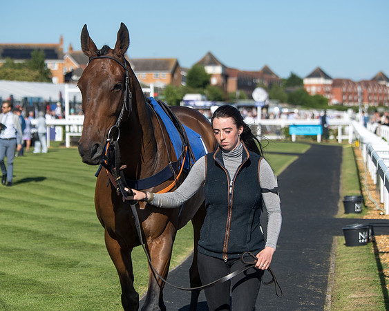 Race 1 - PPSA Open Hunter chase (14 of 78)