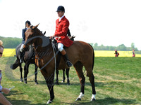 picture-11